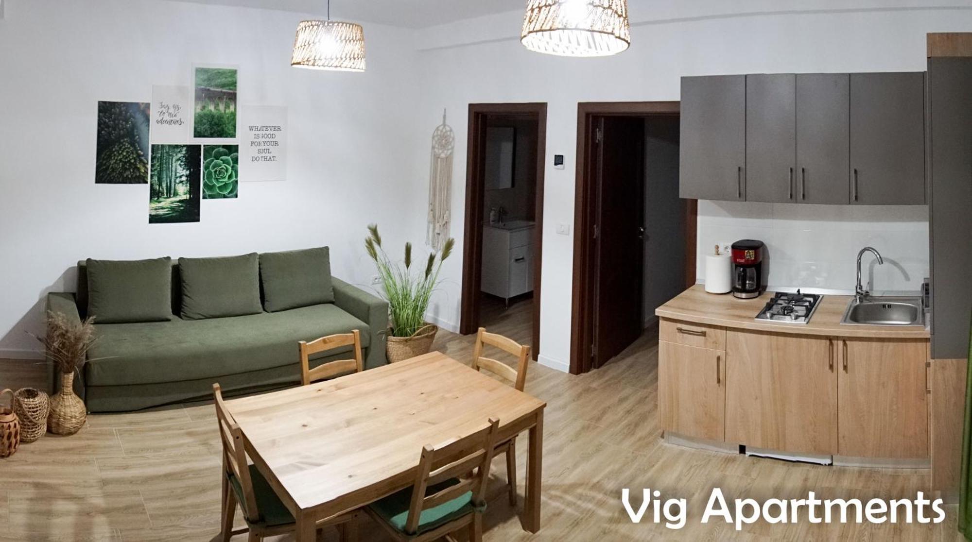 Vig Apartments 蒂米什瓦拉 外观 照片