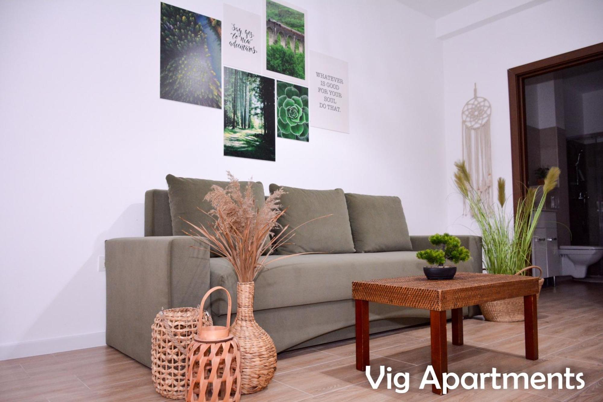 Vig Apartments 蒂米什瓦拉 外观 照片
