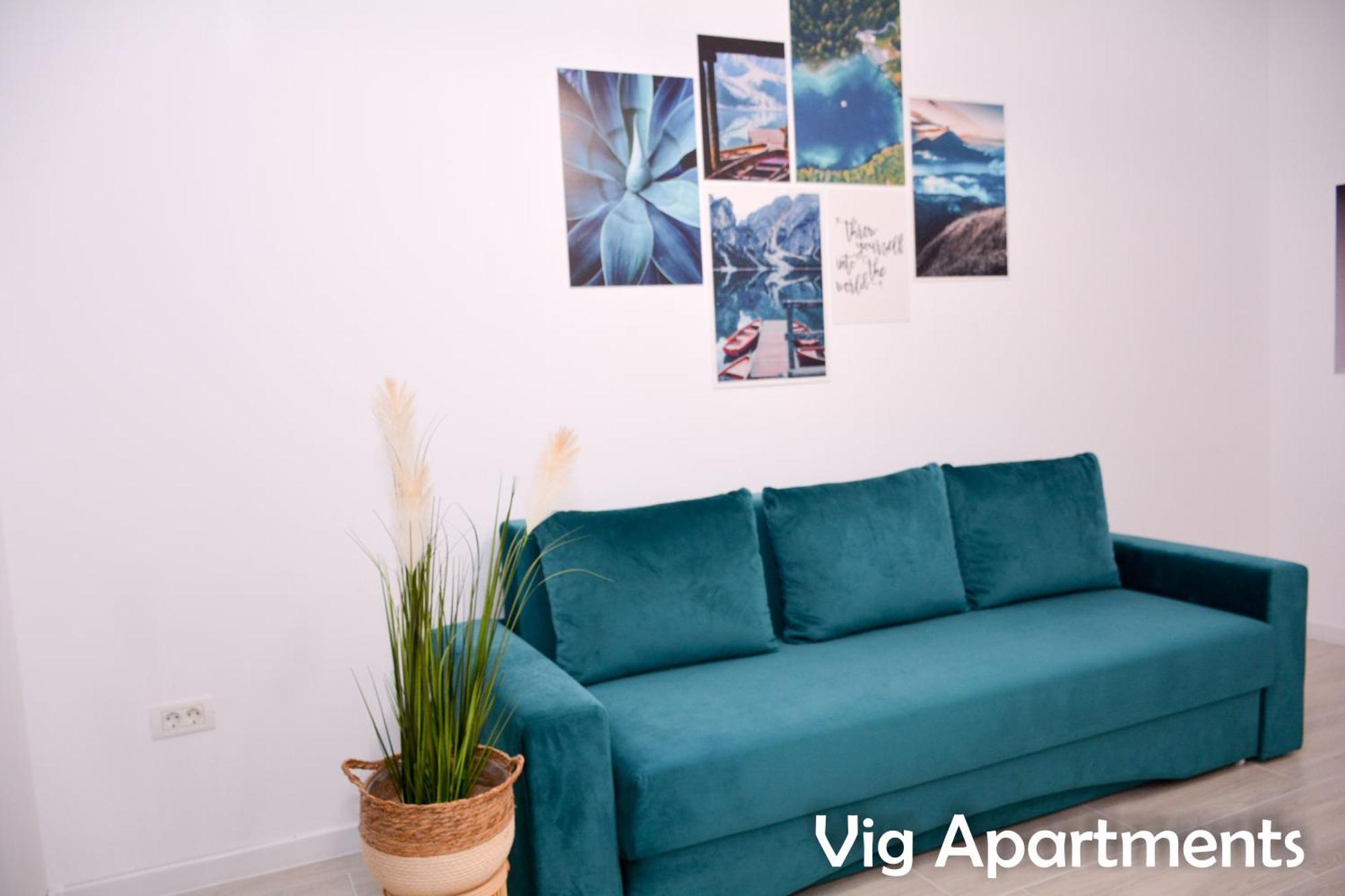 Vig Apartments 蒂米什瓦拉 外观 照片