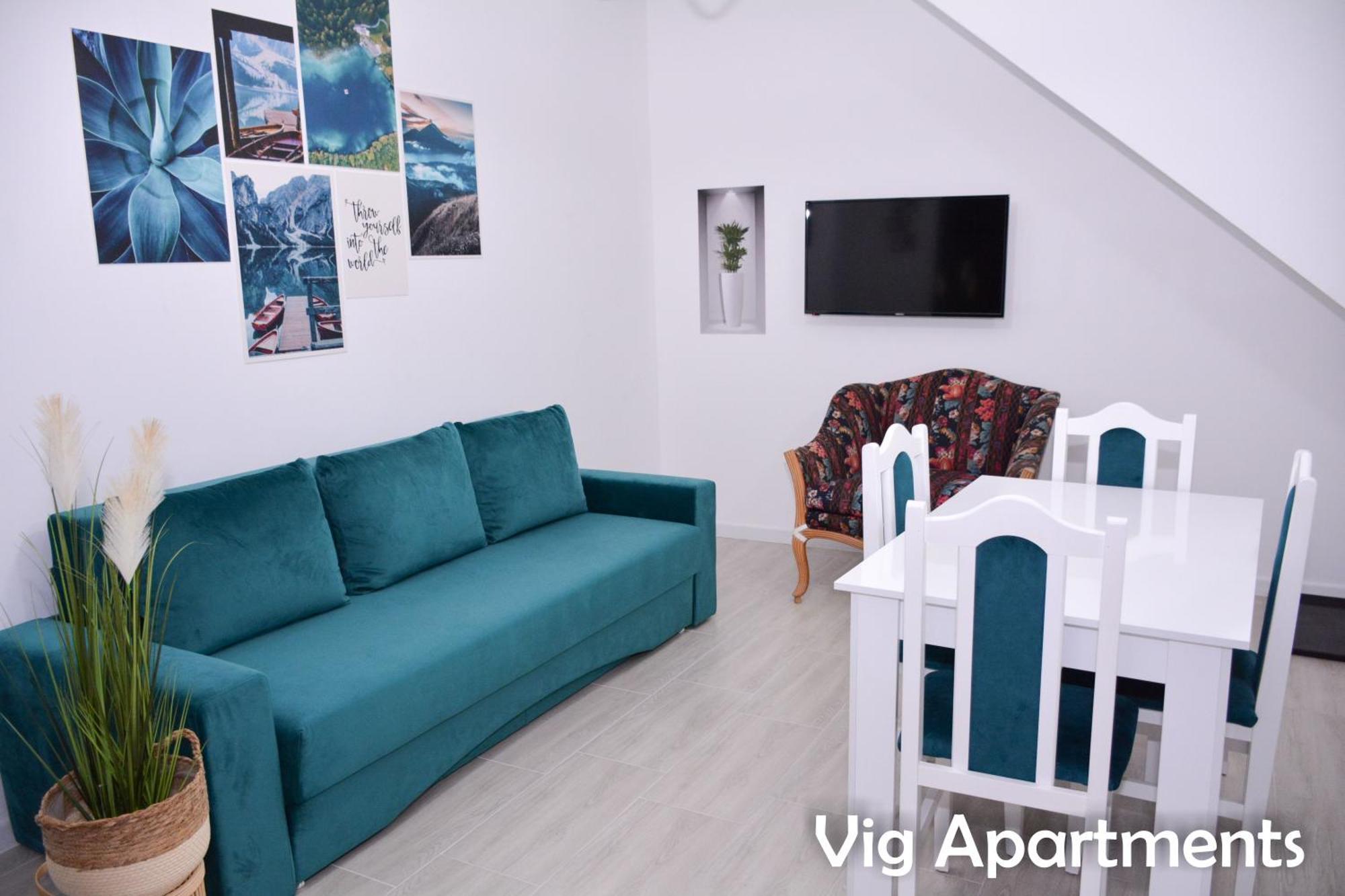 Vig Apartments 蒂米什瓦拉 外观 照片