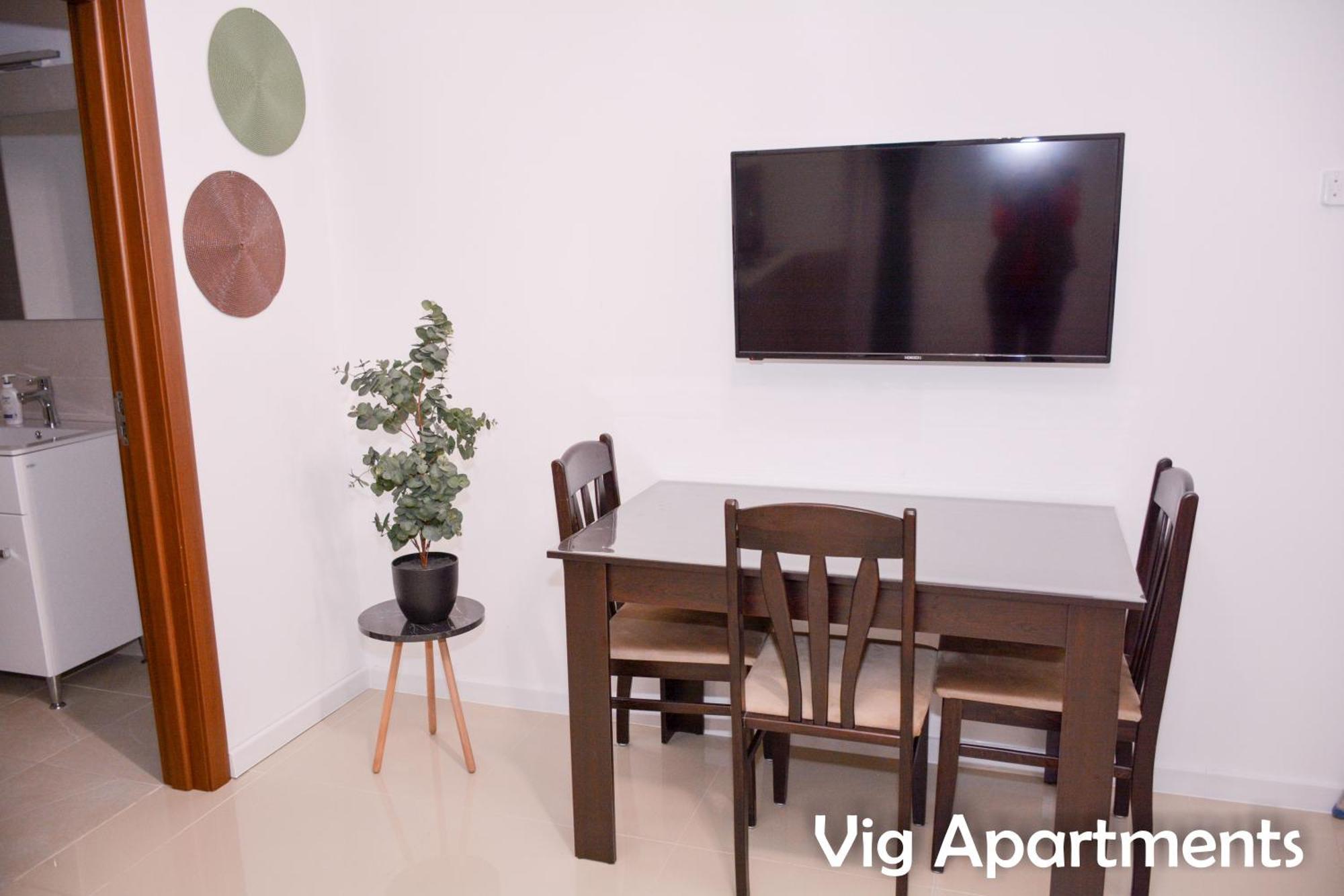 Vig Apartments 蒂米什瓦拉 外观 照片