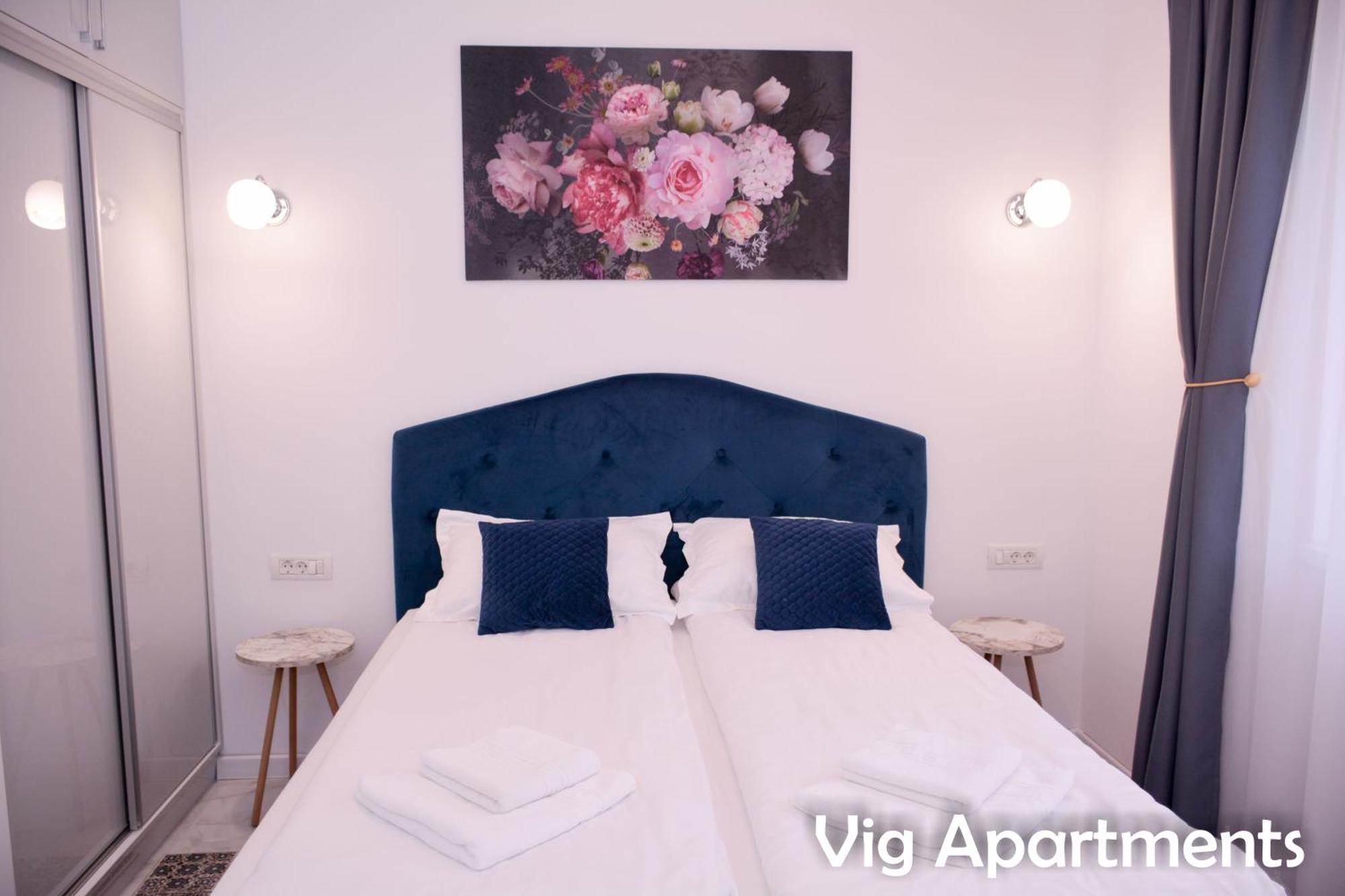 Vig Apartments 蒂米什瓦拉 外观 照片