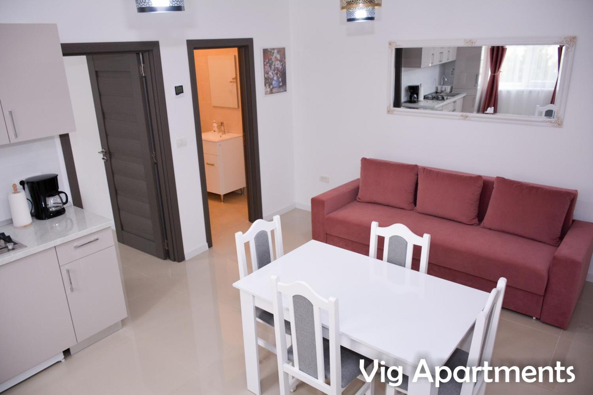 Vig Apartments 蒂米什瓦拉 外观 照片
